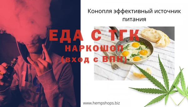 мет Каменка
