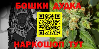 прущие грибы Аргун