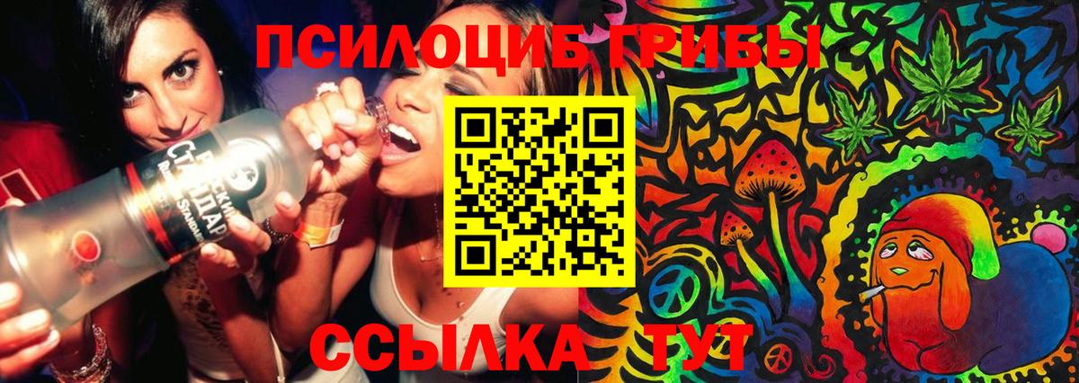 Галлюциногенные грибы мицелий  Нурлат 