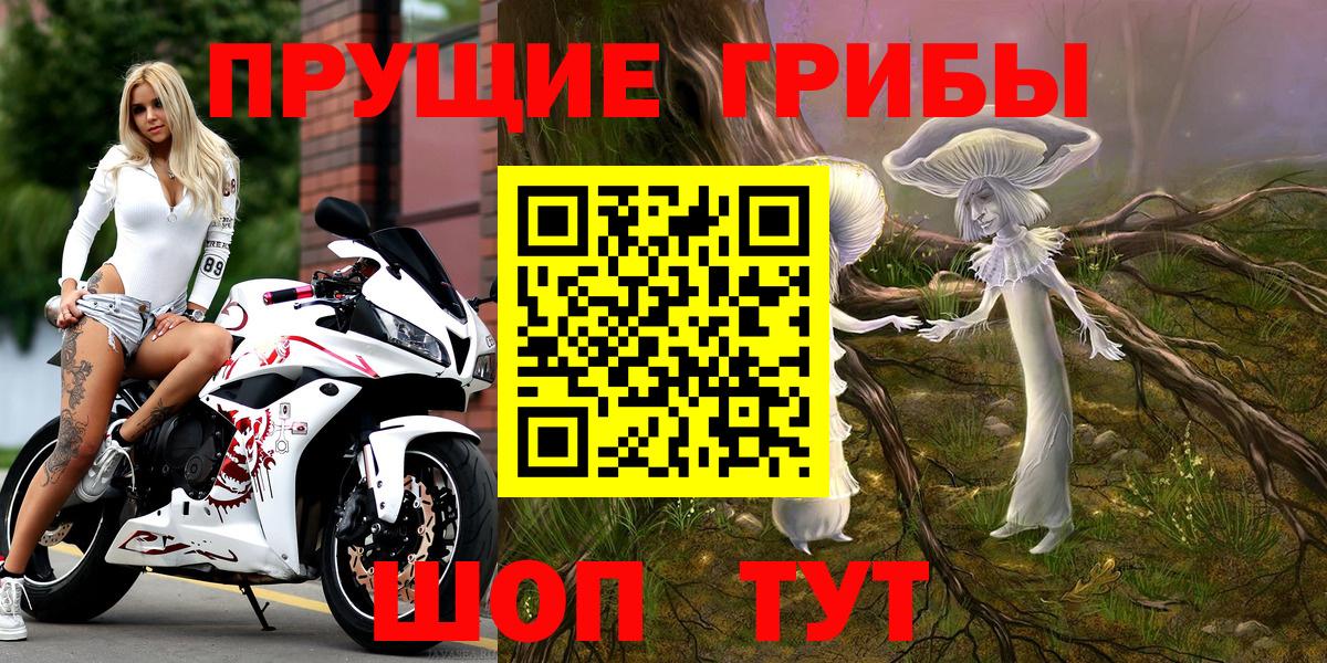 Нурлат  Псилоцибиновые грибы прущие грибы  Вход с VPN  Галлюциногенные грибы мухоморы 